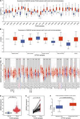 Quiescin Sulfhydryl Oxidase 2 Overexpression Predicts Poor Prognosis and Tumor Progression in Patients With Colorectal Cancer: A Study Based on Data Mining and Clinical Verification